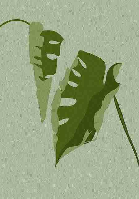 高清回放！大版本迭代探花视频app深夜放送