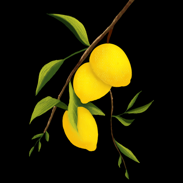 探花视频app开发者访谈：周末活动热度升级