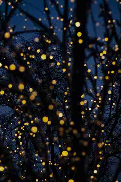 麻豆游戏·V5.6·升级攻略·全景重现