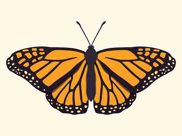 7大亮点麻豆品牌观察福利满满