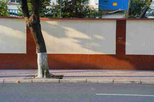 官方直播-51网网址-数据透视-惊喜升级