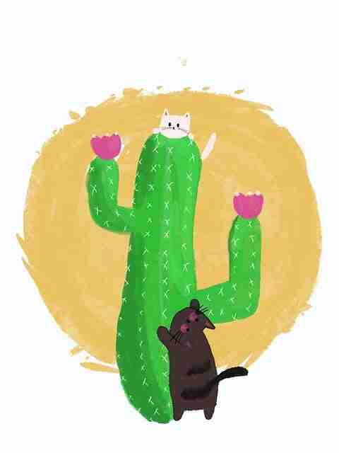 全景模式探花视频——轻松入门大神齐聚